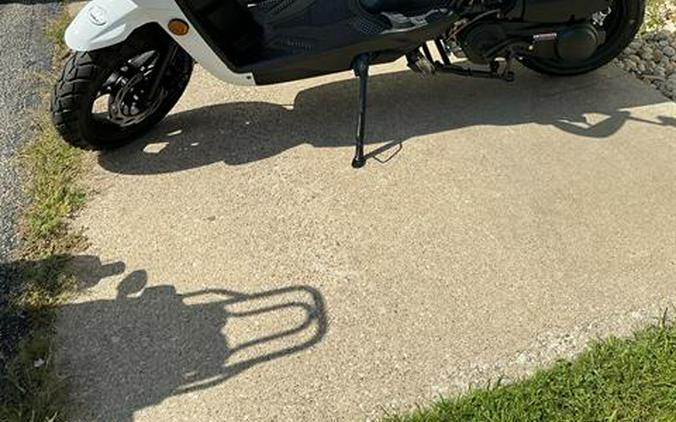 2025 Wolf Brand Scooters Wolf Rugby II