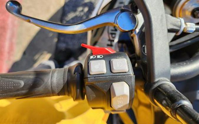 2022 Triumph Tiger 900 Rally Pro