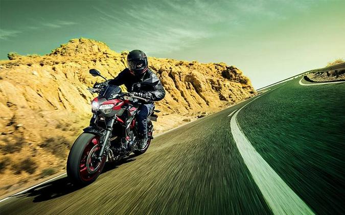 2024 Kawasaki Z650