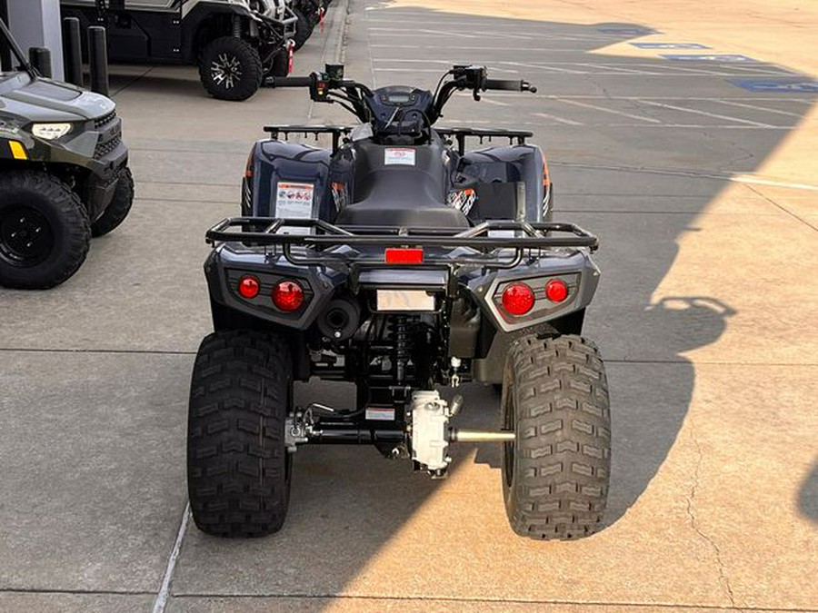 2024 Kawasaki Brute Force 300