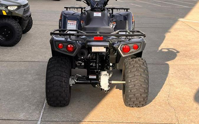 2024 Kawasaki Brute Force 300