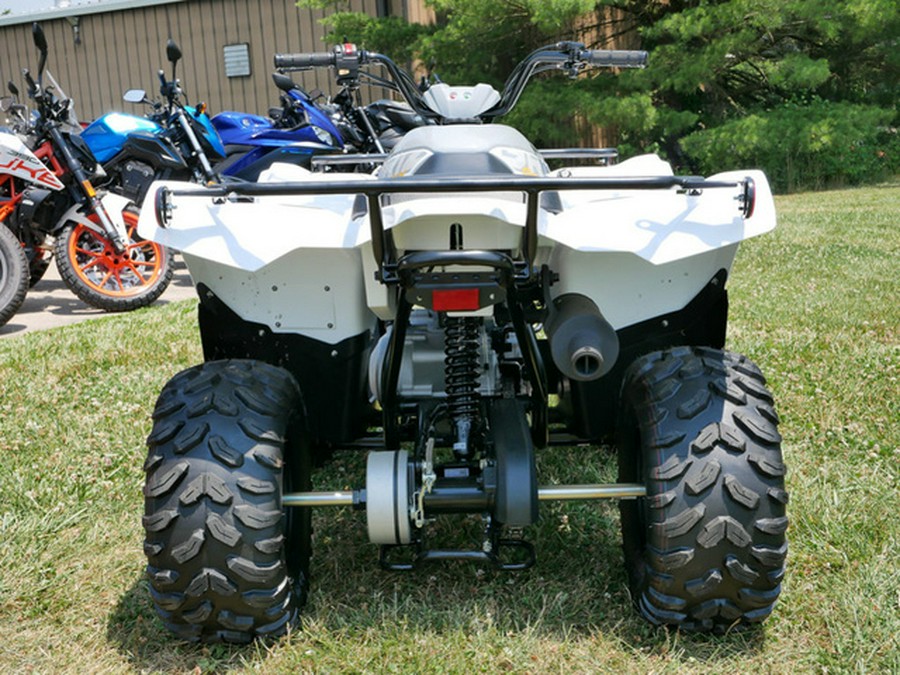 2024 Yamaha Grizzly 90 90