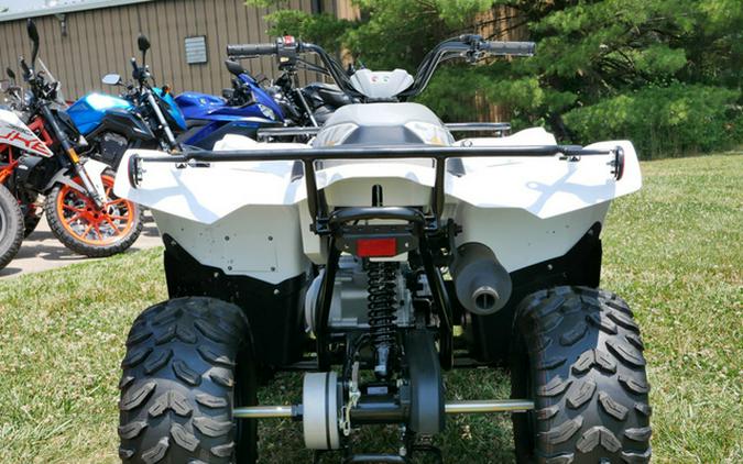 2024 Yamaha Grizzly 90 90