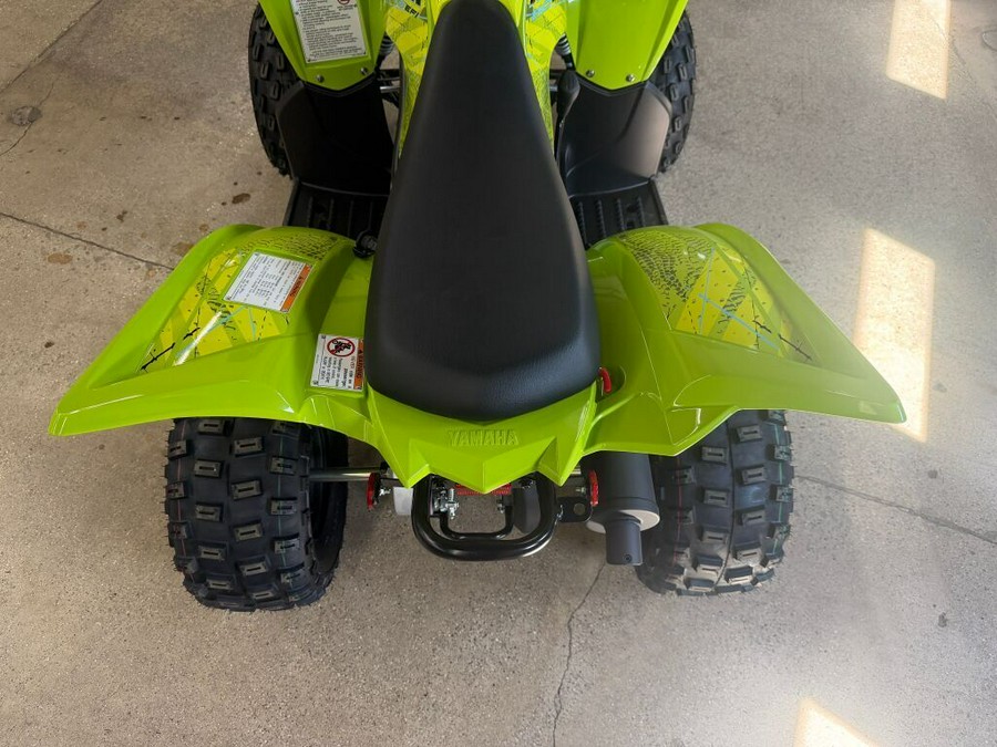 2026 Yamaha Raptor 110
