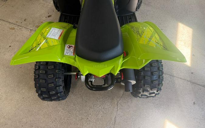 2026 Yamaha Raptor 110