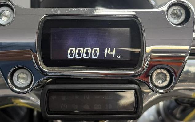 2023 Harley-Davidson® FXST - Softail® Standard