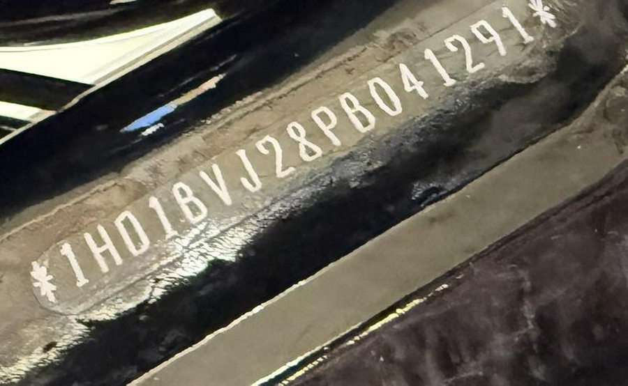 2023 Harley-Davidson® FXST - Softail® Standard