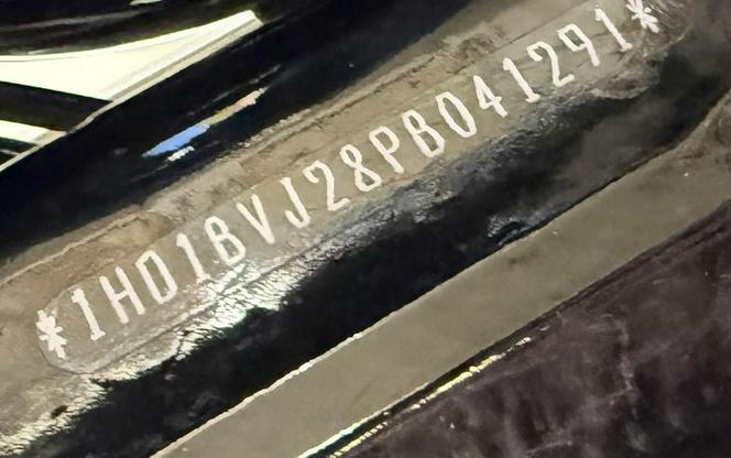 2023 Harley-Davidson® FXST - Softail® Standard