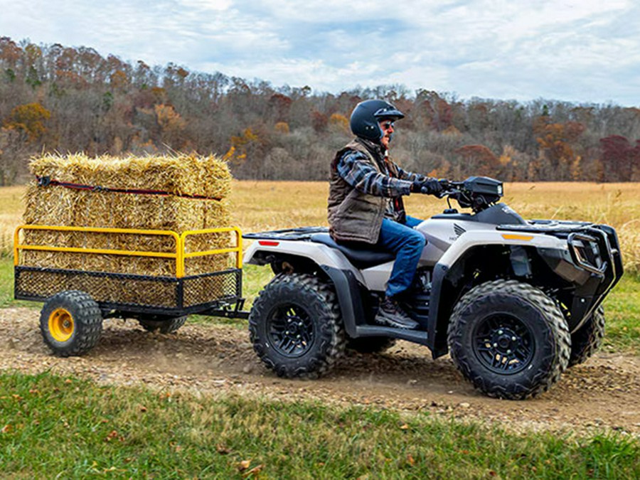 2024 Honda FourTrax Rubicon 4x4 Automatic