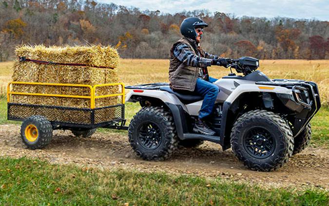 2024 Honda FourTrax Rubicon 4x4 Automatic