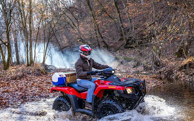 2024 Honda FourTrax Rubicon 4x4 Automatic