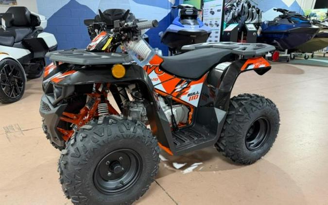 2027 Kayo Bull 110