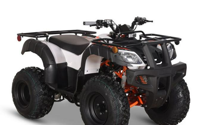 2026 Kayo Bull 150 EFI