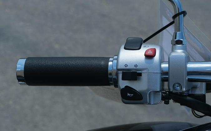 2025 SUZUKI BOULEVARD M109R