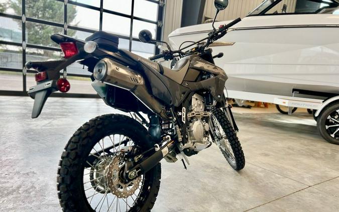 2024 Kawasaki KLX® 300