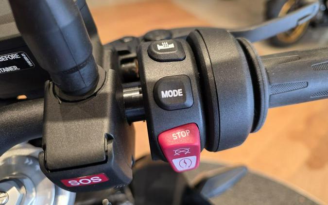 New 2025 BMW F 900 R