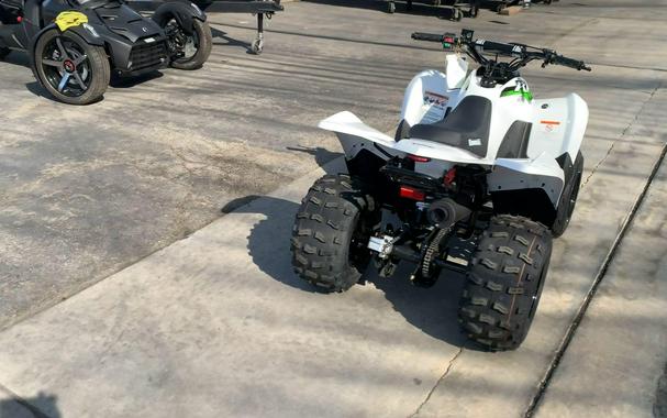2026 Kawasaki KFX 90