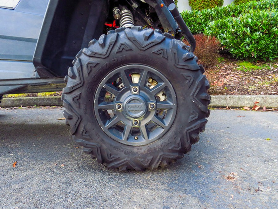 2019 Polaris RZR RS1