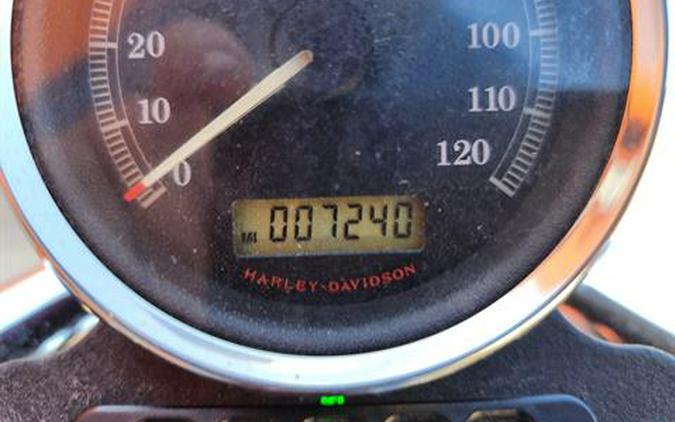 2009 THUNDER MOUNTAIN xl1200