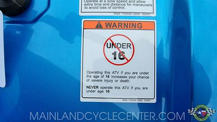 2025 CFMOTO CForce 500 S