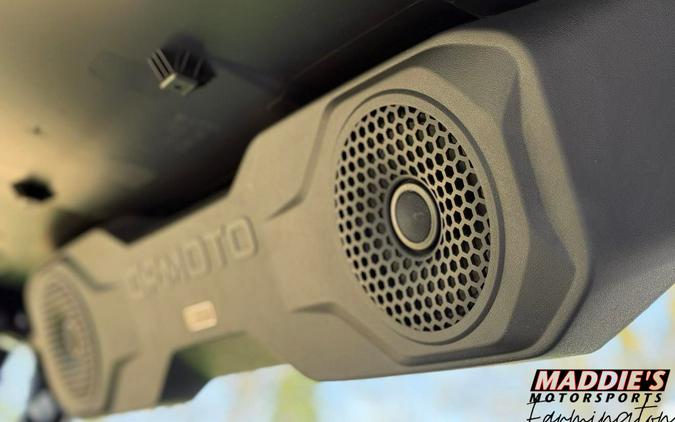 2025 CFMOTO UFORCE U10 Pro