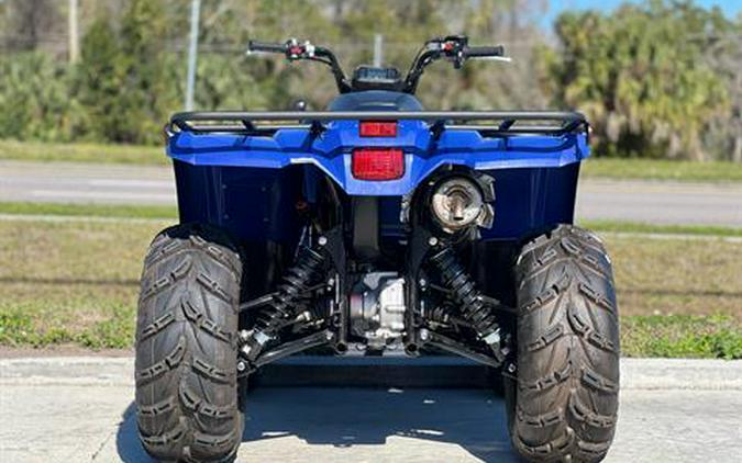 2024 Yamaha Kodiak 450