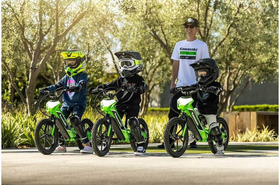 2023 Kawasaki Elektrode