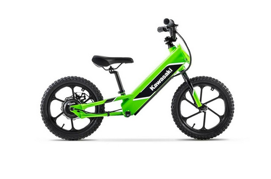 2023 Kawasaki Elektrode