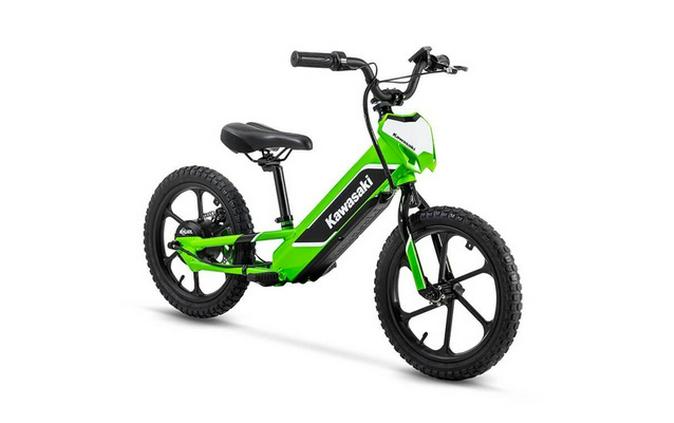 2023 Kawasaki Elektrode
