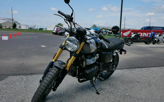 2025 Royal Enfield Bear 650 Golden Shadow