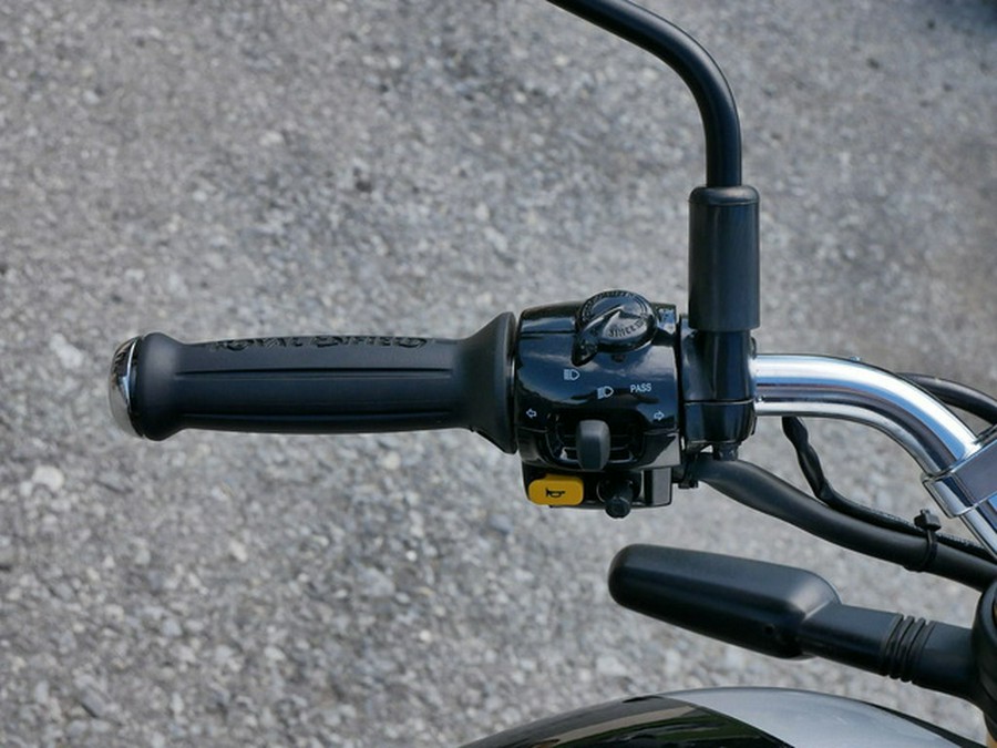 2025 Royal Enfield Bear 650 Golden Shadow