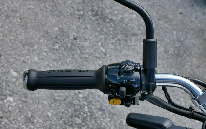 2025 Royal Enfield Bear 650 Golden Shadow