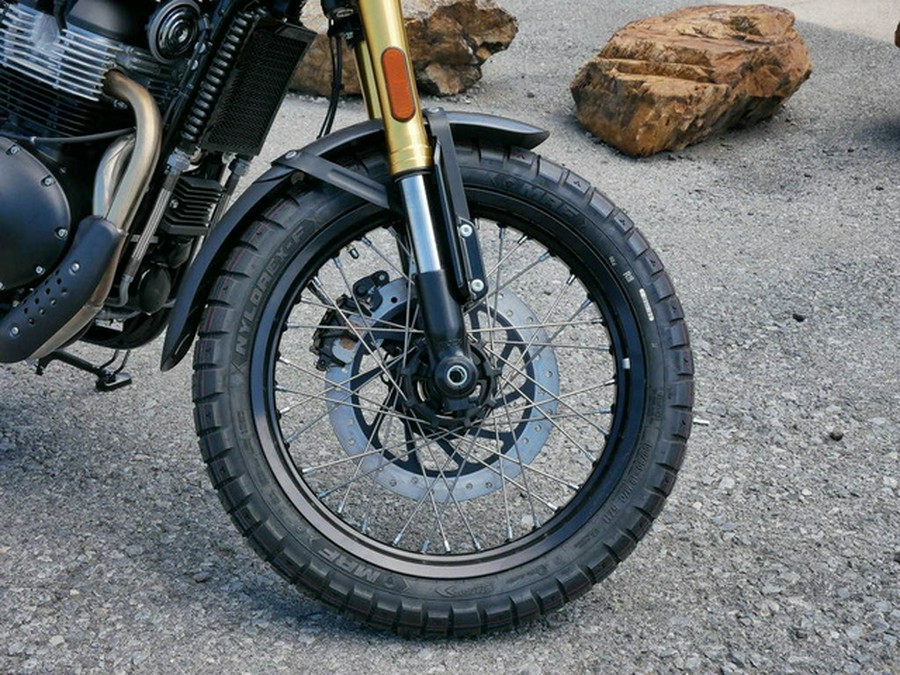 2025 Royal Enfield Bear 650 Golden Shadow