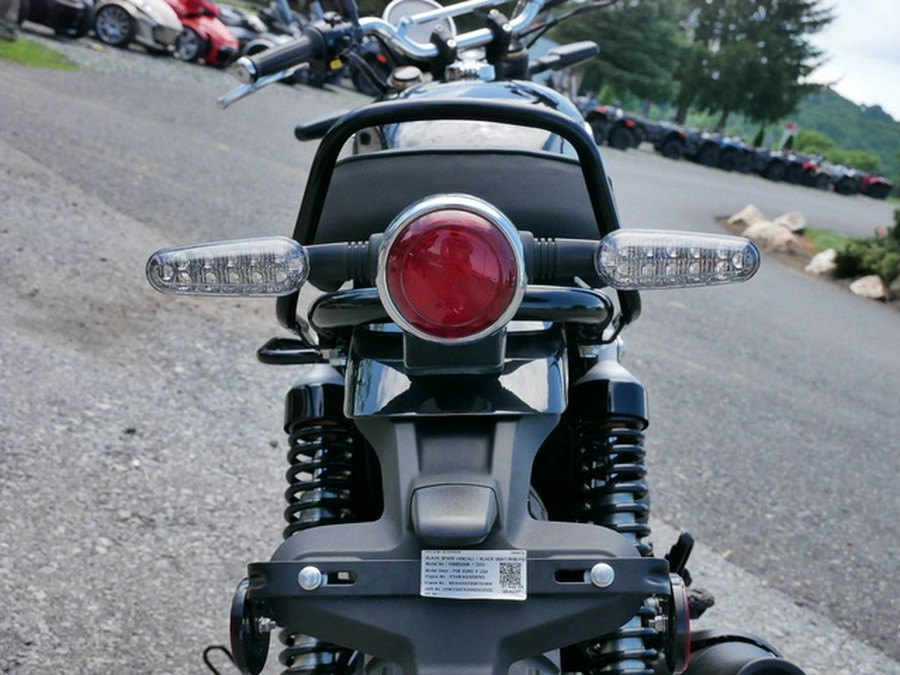 2025 Royal Enfield Bear 650 Golden Shadow