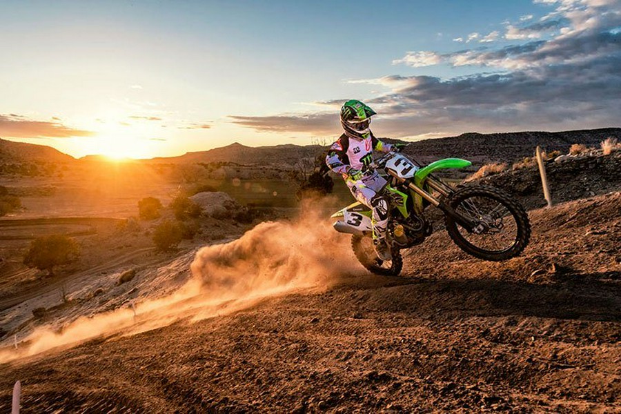 2019 Kawasaki KX 450