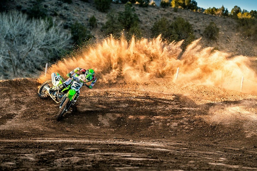 2019 Kawasaki KX 450