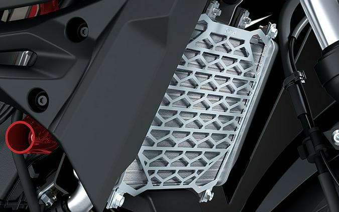 2025 Kawasaki Z500 SE ABS