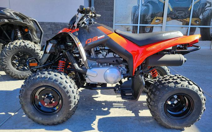 2026 Can-Am DS 250