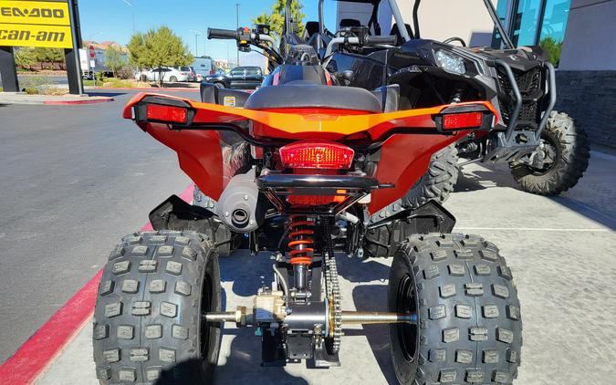 2026 Can-Am DS 250