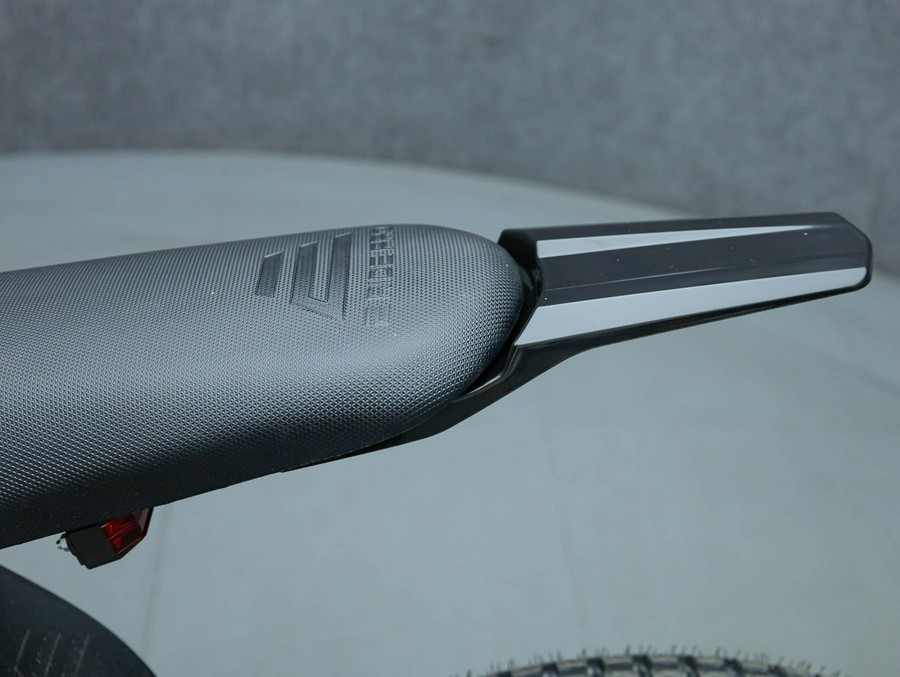 2026 E RIDE PRO SS 3.0
