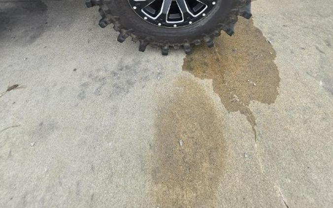2025 Honda FourTrax Foreman Rubicon 4x4 EPS