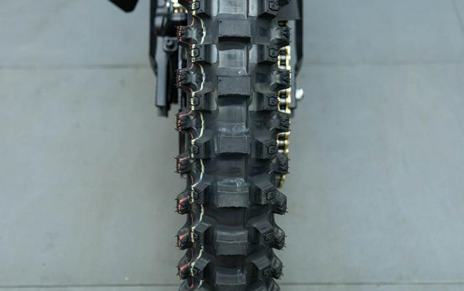 2026 E RIDE PRO SS 3.0 EXPERT SPECIAL EDITION
