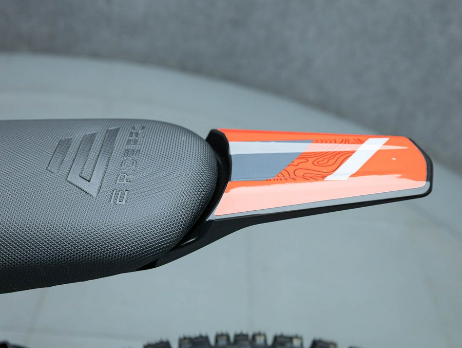 2026 E RIDE PRO SS 3.0 EXPERT SPECIAL EDITION