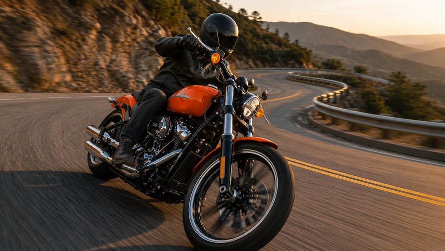2020 HARLEY-DAVIDSON FXBRS - F029001