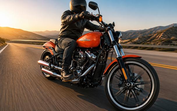 2020 HARLEY-DAVIDSON FXBRS - F029001