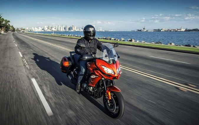 2015 Kawasaki Versys® 1000 LT