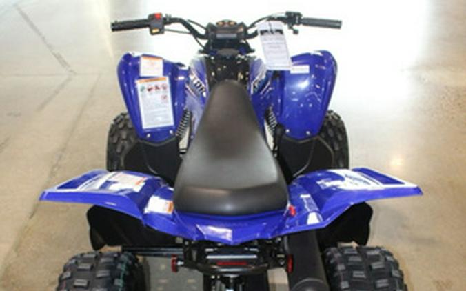 2026 Yamaha Raptor 110