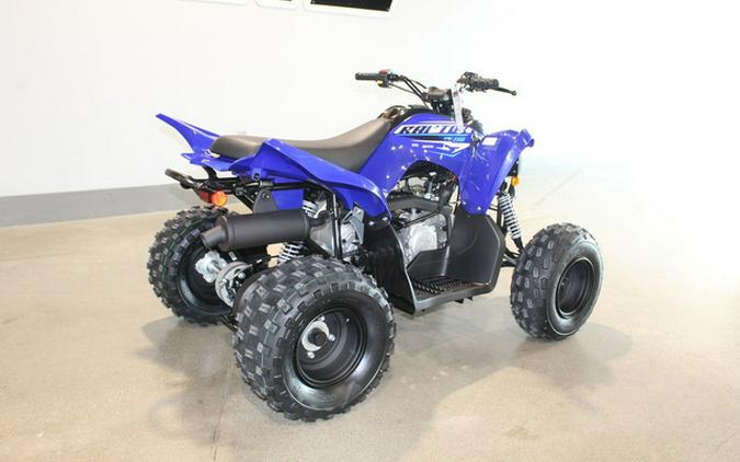 2026 Yamaha Raptor 110