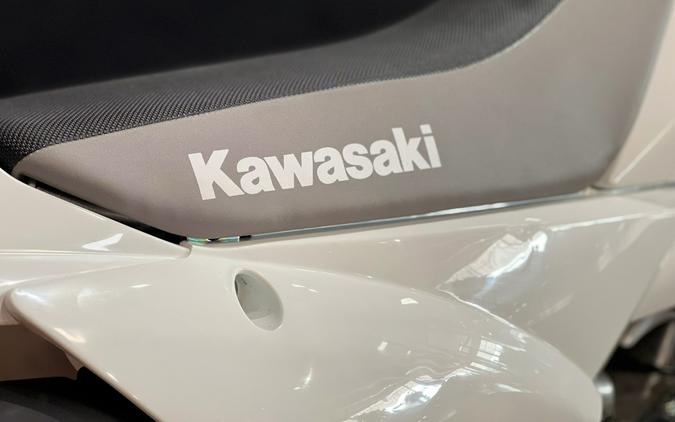 2026 Kawasaki KLX®110R L