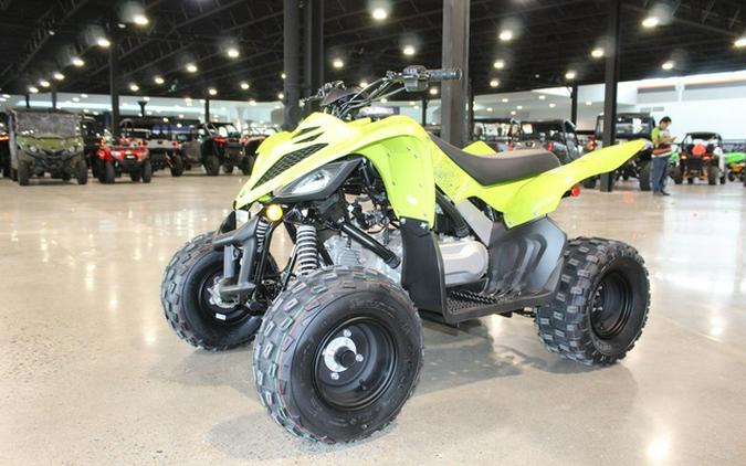 2026 Yamaha Raptor 110